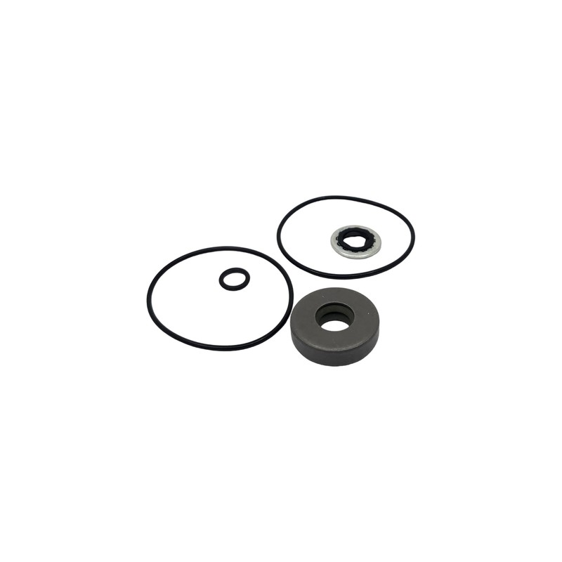 Kit sellos Ace Pumps para motor hidráulico serie 200