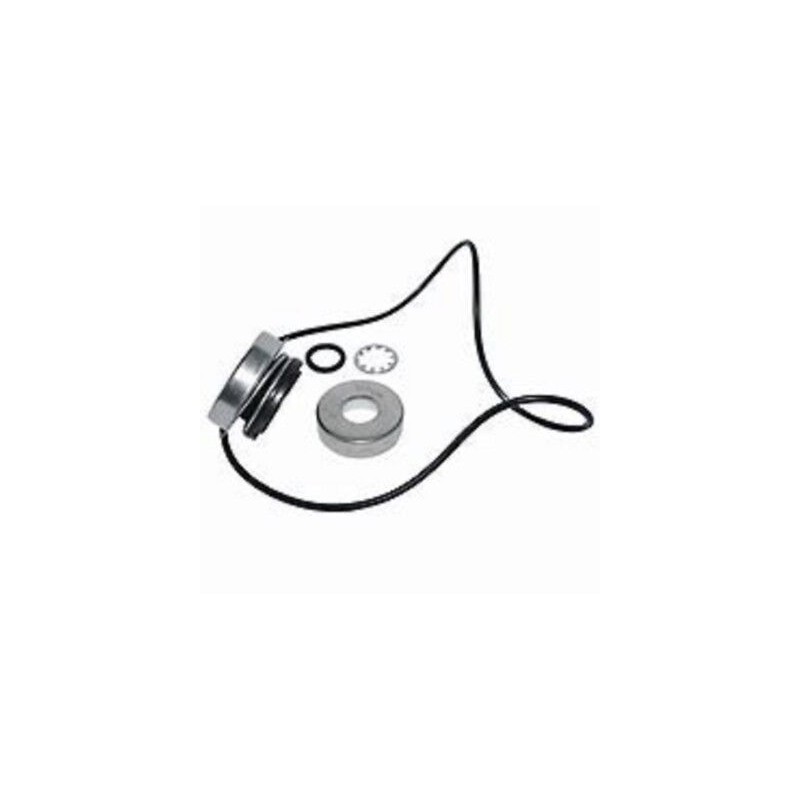 Kit sellos Ace Pumps FMC/CW150/200/CW200